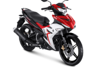 mx-king-150-red