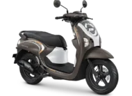 scoopy-fashion-brown