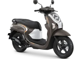 scoopy-fashion-brown