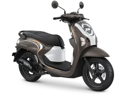 scoopy-fashion-brown